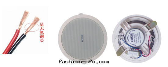 公(gōng)共(gòng)廣播系(xì)統 公(gōng)共(gòng)廣播系(xì)統